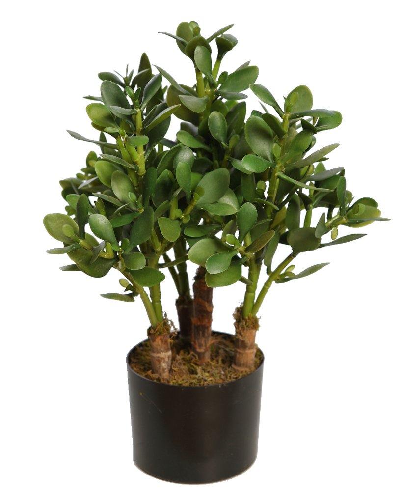 PLANTA CRASA ARTIFICIAL CON MACETA 50CM - CARMAN Showroom