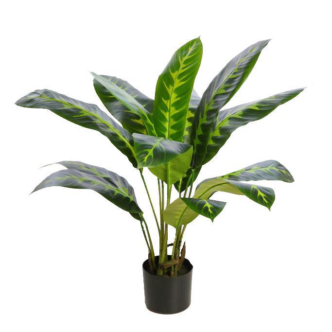 PLANTA DIFEMBACHIA ARTIFICIAL 70CM - CARMAN Showroom