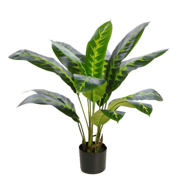 PLANTA DIFEMBACHIA ARTIFICIAL 70CM - CARMAN Showroom