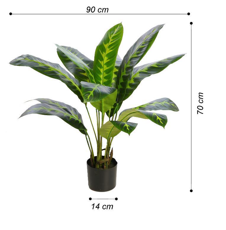 PLANTA DIFEMBACHIA ARTIFICIAL 70CM - CARMAN Showroom