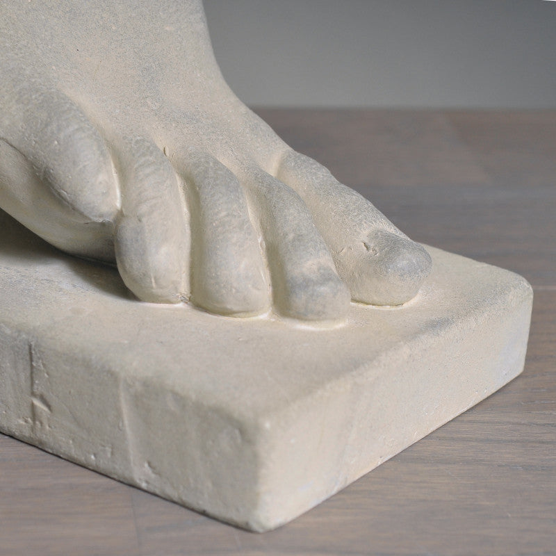PIE DE HERMES