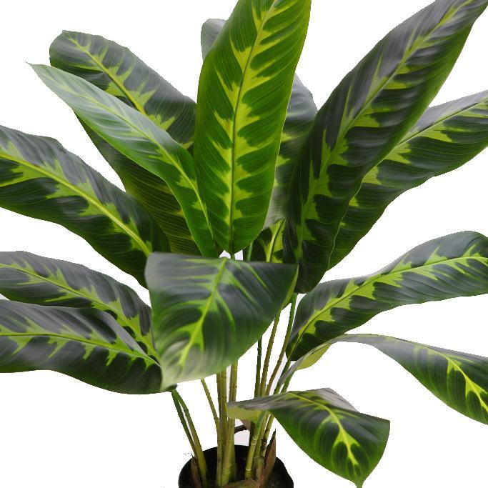 PLANTA DIFEMBACHIA ARTIFICIAL 70CM - CARMAN Showroom