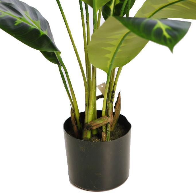 PLANTA DIFEMBACHIA ARTIFICIAL 70CM - CARMAN Showroom