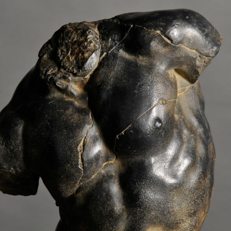 TORSO DE APOLLO NEGRO - CARMAN Showroom